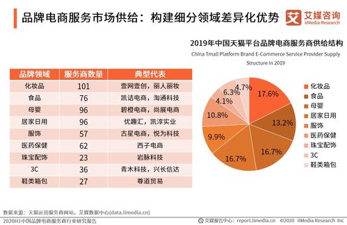 2020上半年中国品牌电商服务商行业研究报告 社会经济咨询服务的战略价值与市场洞察